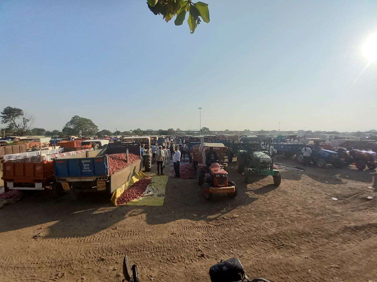 उमराणे बाजार समितीत लाल कांद्याची मोठी आवक; ४११३ रुपयांपर्यंत मिळाला भाव