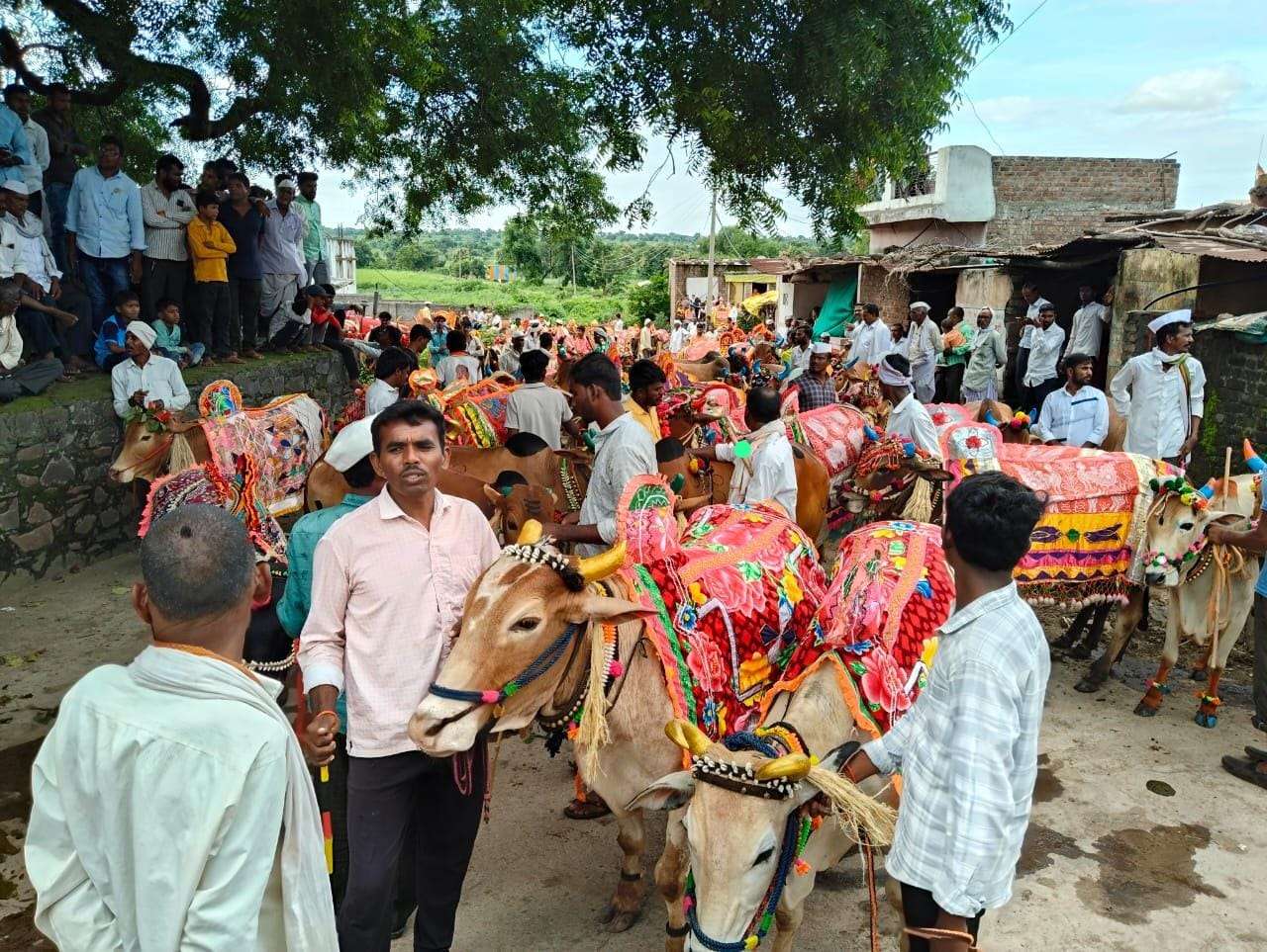 आंभोडा कदम येथे बैलपोळा उत्साहात साजरा…